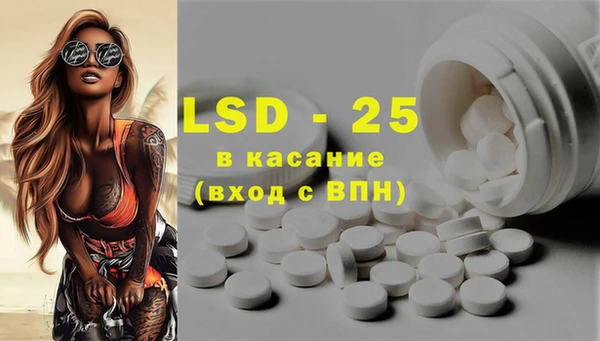 прущие грибы Богданович