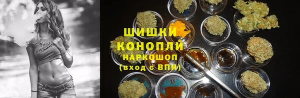 крисы Богородск