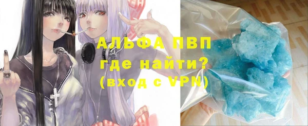 прущие грибы Богданович