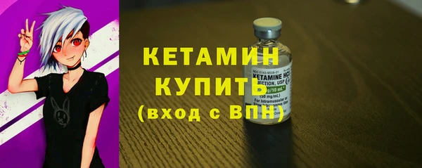прущие грибы Богданович