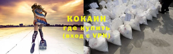 прущие грибы Богданович