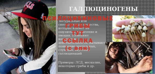 крисы Богородск