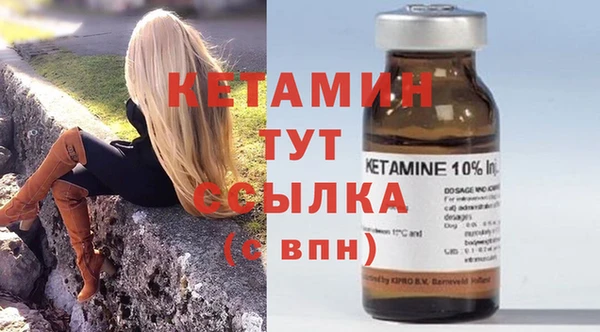 прущие грибы Богданович