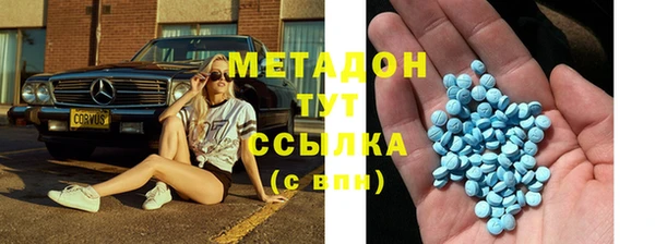 прущие грибы Богданович