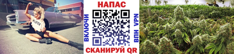 Купить где  Кумертау  Марихуана Ganja 